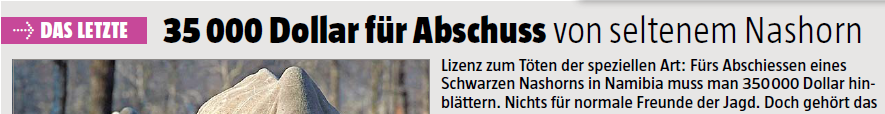 35'000 Dollar f&uuml;r Abschuss von seltenem Nashorn: Lizenz zum T&ouml;ten der speziellen Art:
    F&uuml;rs Abschiessen eines Schwarzen Nashorns in Namibia muss man 350'000 Dollar hinbl&auml;ttern.
